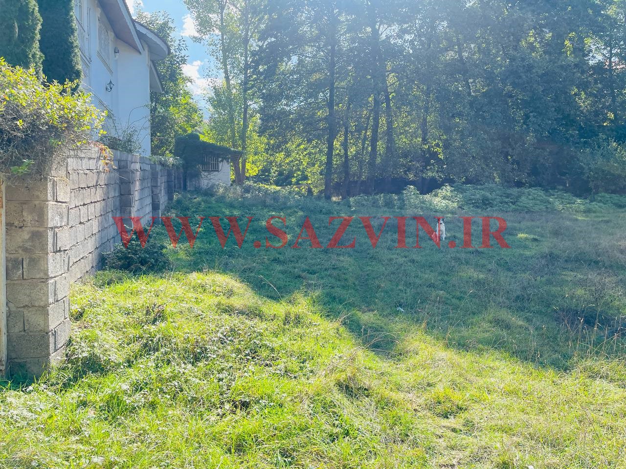 زمین فروشی در کلاردشت (کد119)